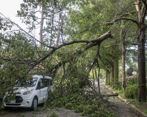 Storm Tree Damage in Hoover AL